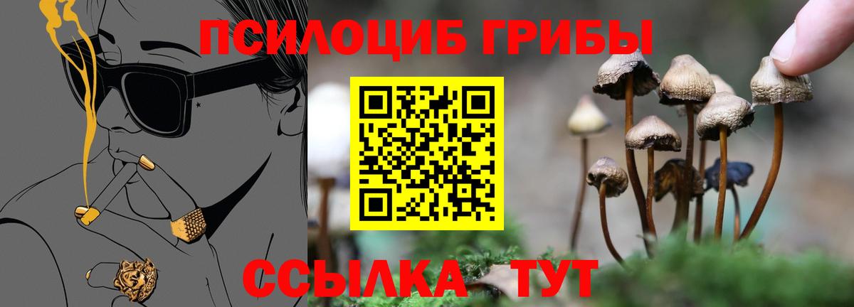 Псилоцибиновые грибы MAGIC MUSHROOMS  Вход с VPN  Магнитогорск 